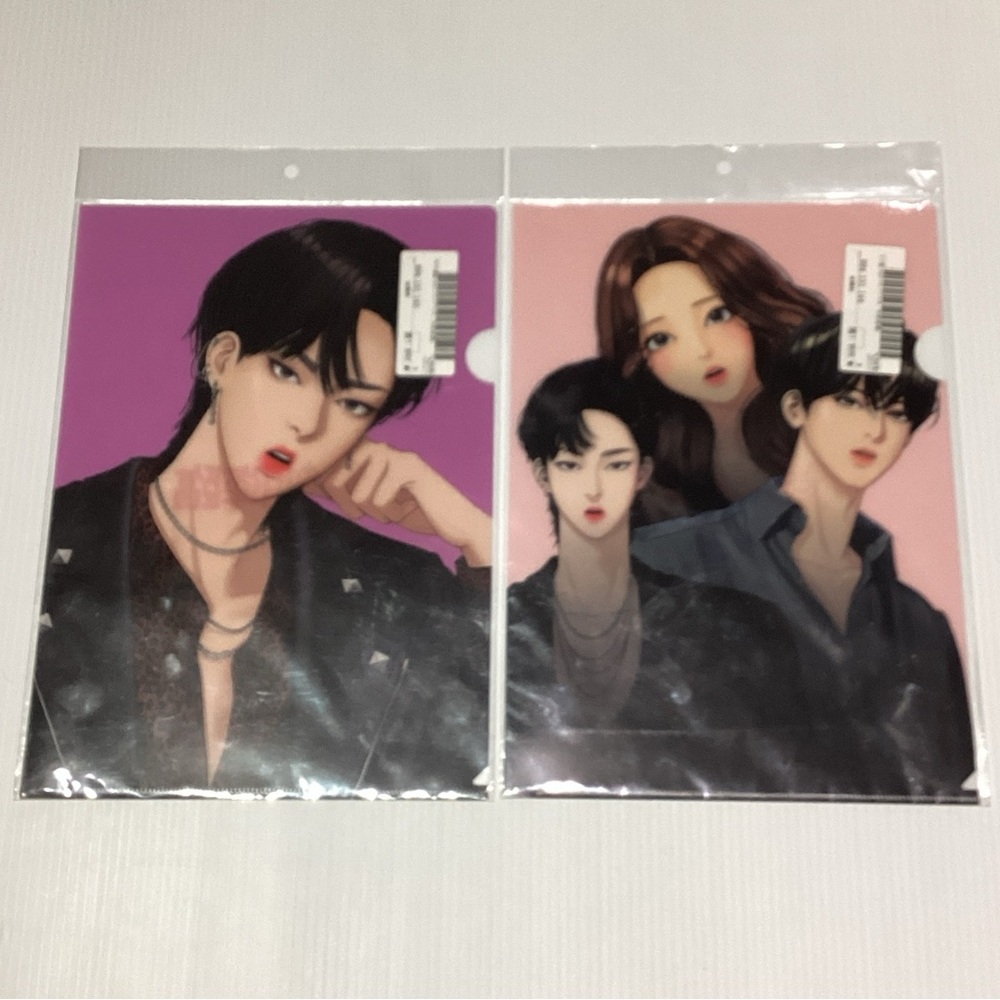 True Beauty Korean Webtoon Clear File Folder X 2 New Sealed